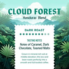 Low Acid Dark Roast Whole Bean Coffee Honduras Notes Caramel Chocolate 12 oz