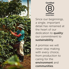Decaf Whole Bean Coffee, Classic Medium Roast Gourmet Blend, 100% Arabica Coffee