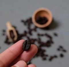 Coffee roasted combo pack 50 gram
