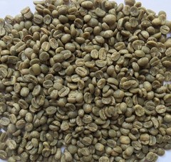 3 Lb Unroasted Nicaraguan Green Coffee Beans – Specialty Caturra Variety