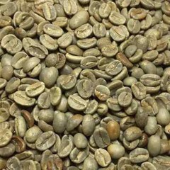 Papau New Guinea Y1 Green Unroasted Coffee 5 lb