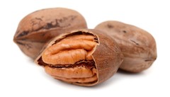 2026 FLAVORED COFFEE SOUTHERN PECAN 1 bag Fresh Gourmet Coffee Beans