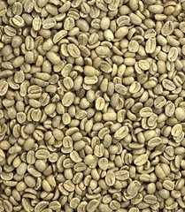 Green Coffee Beans / Peruvian Selva Central La Florida / 1 Pound / UNROASTED