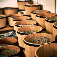 5 lbs of Wallenford Jamaica Blue Mountain Coffee – Free Shipping!
