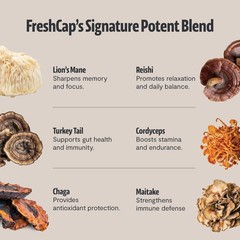 Premium Organic Mushroom Coffee – 12:1 Fruiting 15 Servings,