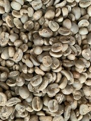 Guatemala Premium Green Coffee Beans Raw Unroasted Specialty Grade