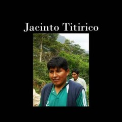 66 lbs BOLIVIA JACINTO TITIRICO -SIETE ESTRELLAS MICROLOT GREEN COFFEE FREE SHIP