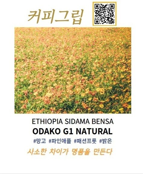 Odako Natural (Ethiopia Sidama) – Korea light roast whole bean coffee 100g