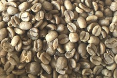 Swiss Water Decaf – 5 lbs. – Green Colombia Coffee Beans For Home Roasters