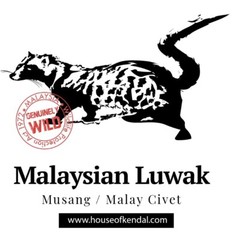 Coffee, Wild LUWAK Liberica Malaysia, 8 oz packing, REDUCED PRICE