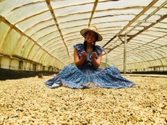 SINGLE ESTATE – COLOMBIAN GREEN COFFEE BEANS – 1 LB CATURRA, ARABICA