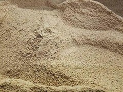 2lb White Coffee Beans – Special Grind, Unique Flavor, Freshly Roasted