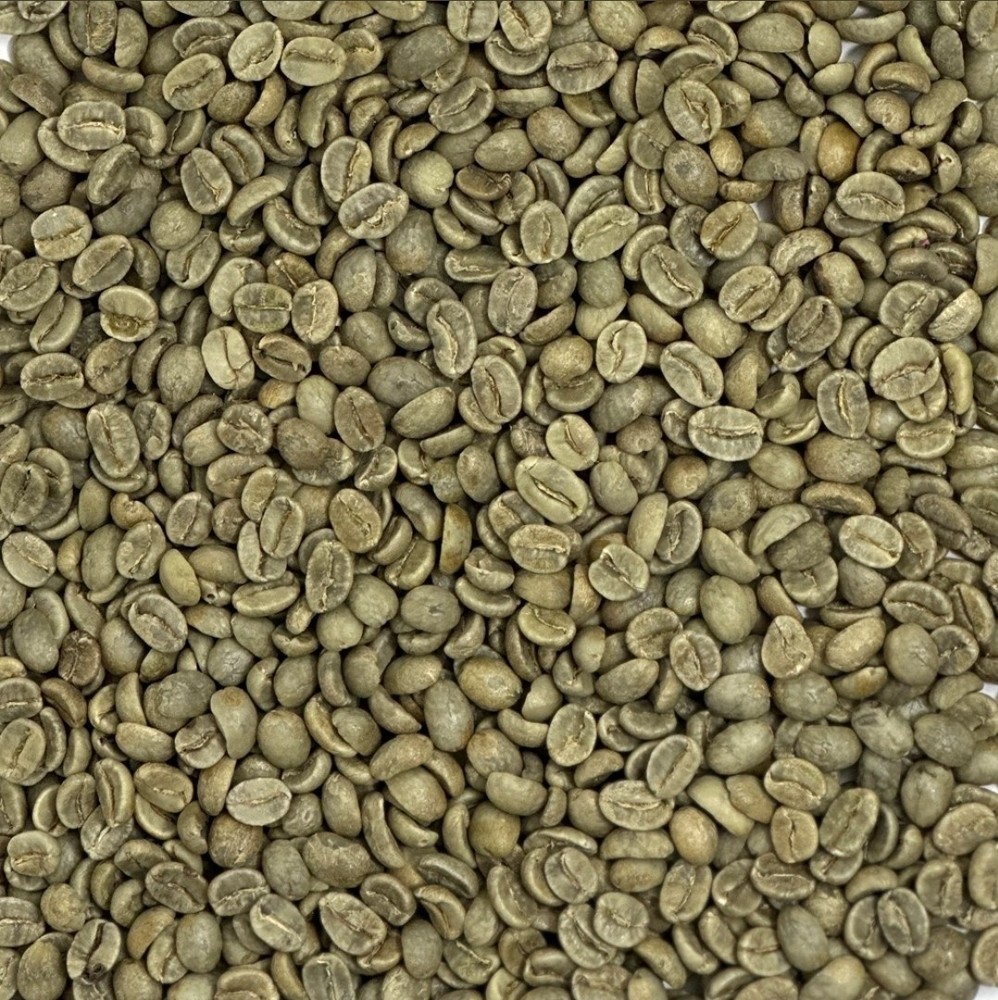 Green Coffee Beans / Colombian Reserva Del Patron / 5 Pound / UNROASTED