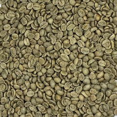 Green Coffee Beans / Colombian Sierra Nevada/ 1 Pound / UNROASTED
