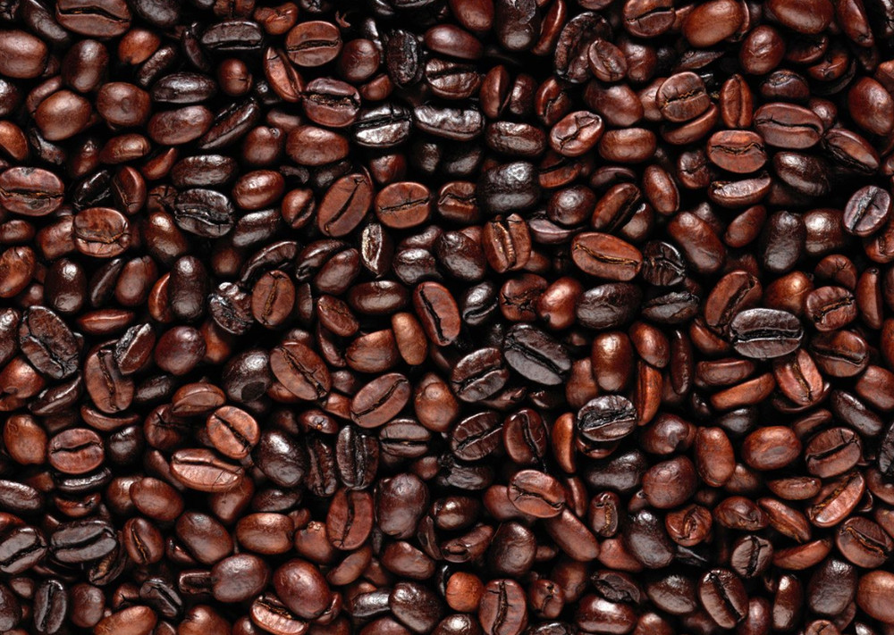 Ethiopian Yirgacheffe Highest Grade Fresh Coffee Beans 1 lb Roasted Whole Bean