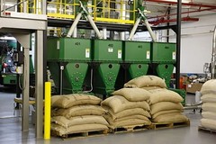 Colombian Supremo Green Coffee Beans, Unroasted, 1 Lb
