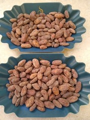 3lbs Bolivia Organic-certfied, Improved Walikeewa Unroasted Cacao Beans NEW CROP