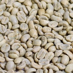 Gourmet Raw Unroasted Whole Coffee Beans by It’s Delish, 2LB