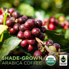 Fair Trade Organic Nicaragua Segovia Dark Roast Coffee 16oz – Whole Bean