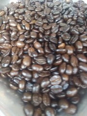 Robusta High Roast Roasted coffee beans 30gms.