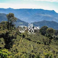 THE BEAN CO Biligiri Hills (French Press, 500 g) Free Shipping World Wide
