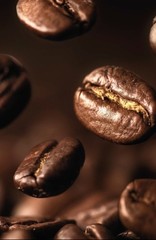 Musetti Gentile 100% Arabica Italian Coffee Beans 1 .1lb pack of 2