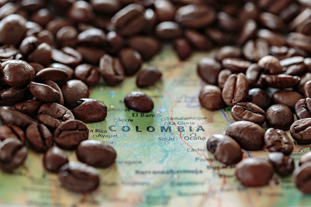 Coffee Beans / Colombian Sierra Nevada/ 5 Pound / ROASTED