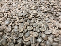 5 LB HAITI HATTIAN GREEN UNROASTED COFFEE BEANS FIVE POUND – ARABICA