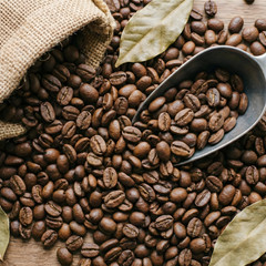 BEST NEW! Toraja Sulawesi Arabica Coffee Beans 200g – Single Origin Manual Brew