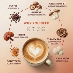 Medium Roast Mushroom Coffee Starter Kit – Gluten-Free & Friendly