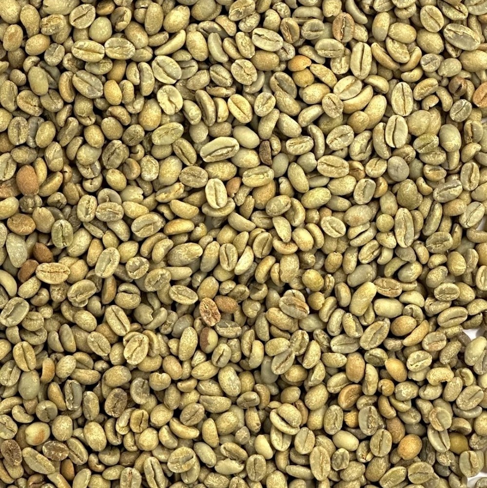 Green Coffee Beans / Ethiopian Durato Bombe Sidamo / 10 Pound / UNROASTED