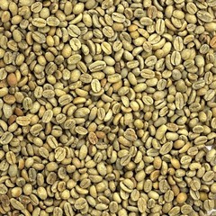 Green Coffee Beans / Ethiopian Durato Bombe Sidamo / 1 Pound / UNROASTED