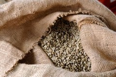 2lb/40lb – Nicaragua – Specialty Grade – Premium Unroasted Green Coffee Beans