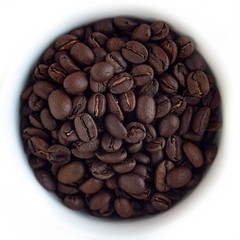 , Organic Colombian Whole Bean Coffee, Medium Roast, USDA Organic, 100% Singl…