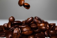 20 LBS 100% Colombian X1F – Limited Special Whole Bean Sale (129.00) NOW $90