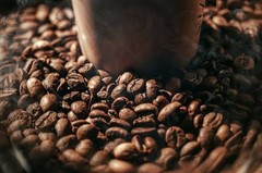 🔥 TANZANIA Coffee WHOLE BEAN Artisan Small Batch Craft Roast w/SHIPPING 🔥