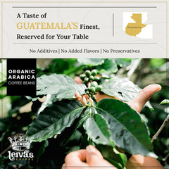 Leiva’S Dark Roast Whole Bean Espresso (8Oz), Freshly Roasted, Micro-Lot Guatema
