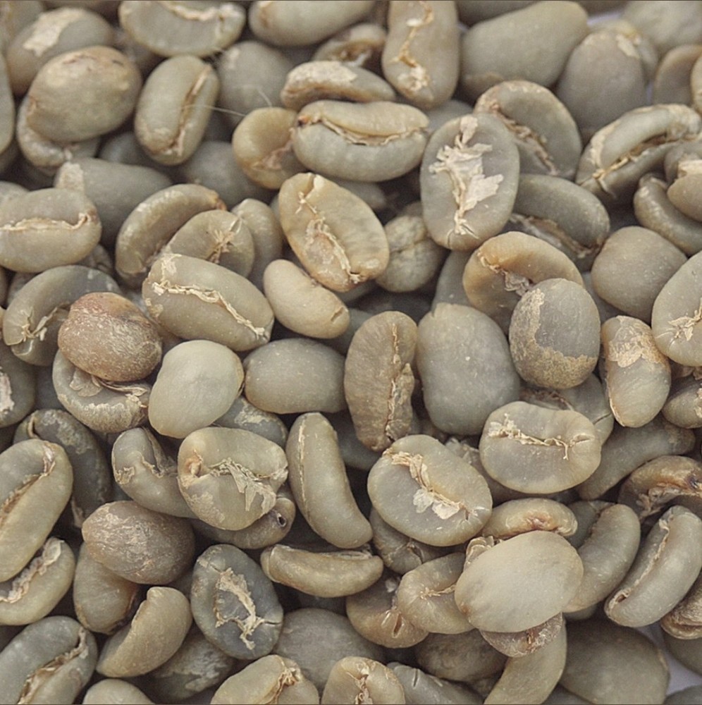 Green Coffee Beans / Sumatra Lake Toba Lintong/ 5 Pound / UNROASTED