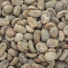 Green Coffee Beans / Sumatra Lake Toba Lintong/ 5 Pound / UNROASTED