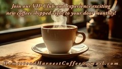 12 Oz Costa Rican Coffee | 100% Arabica Coffee Beans | Fresh Roasted Artisan