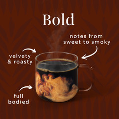 2 PACK Starbucks French Roast, Whole Coffee Beans, Dark Roast Hot or Iced 28 oz