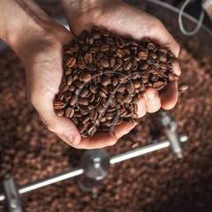 100% Hawaiian Kona Coffee • Extra Fancy • Roasted or Green – 5 lbs in 1 lb Bags