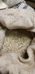 5 LB INDIA MONSOON MALABAR MONSOONED UNROASTED GREEN COFFEE BEANS – ARABICA