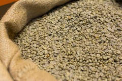 2 POUNDS green coffee beans – your choice of beans – MANY to choose from