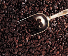 1 Pound Mexican Roasted Arabica Coffee Chiapas Whole Bean Medium Bold