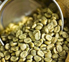 5 LB Green Coffee Beans – Honduras