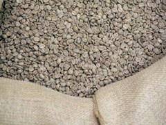 2 POUNDS green coffee beans – your choice of beans – MANY to choose from