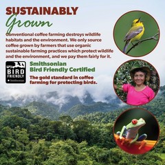 Low Acid Organic Coffee – Whole Bean, Mold-Free & Stomach Friendly by , Colom…