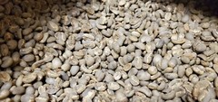 5 LB INDONESIA SUMATRA MANDHELING UNROASTED GREEN COFFEE BEANS – ARABICA
