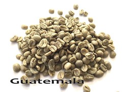 5 LBS Green Coffee – Guatemala Huehuetenango – specialty green coffee